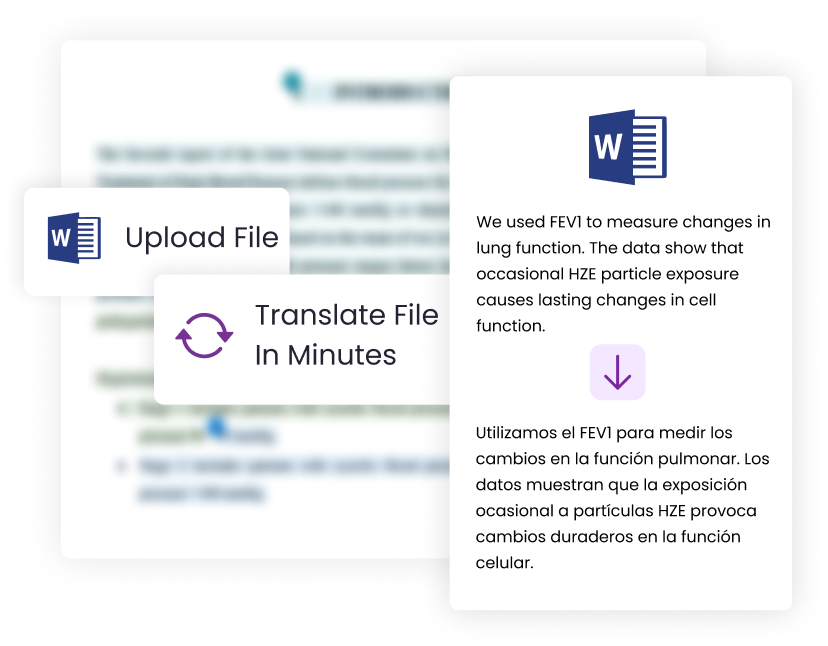 file translation